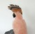 Rose crystal parrot with agate crest feathers on Amethyst Base. Gemstone sculpture