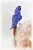 Blue Lovebirds on White Quartz Crystal Base. Gemstone Sculpture