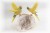 Sunbird Pair on White Quartz  Base. Yellow crystal Gemstone Sculpture